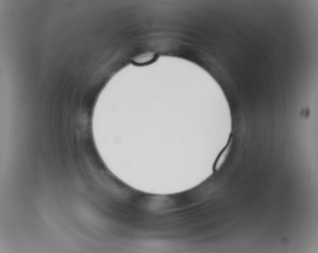 X0000113210087200910221112