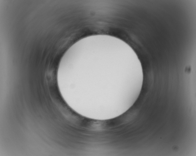 X0000113210088200910221112