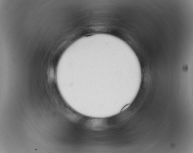 X0000113210089200910221112