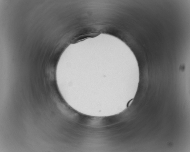 X0000113210090200910221112