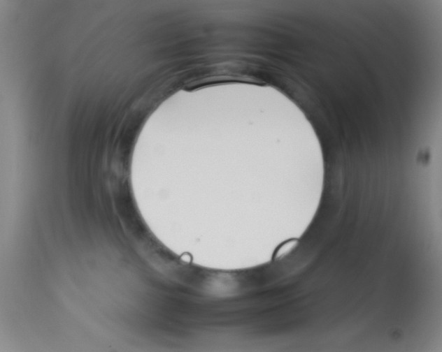 X0000113210091200910221112