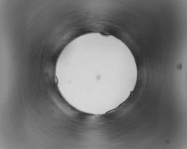 X0000113210092200910221112