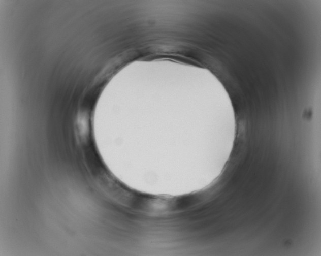 X0000113210094200910221112