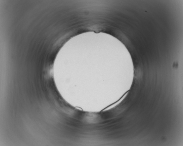 X0000113210095200910221112