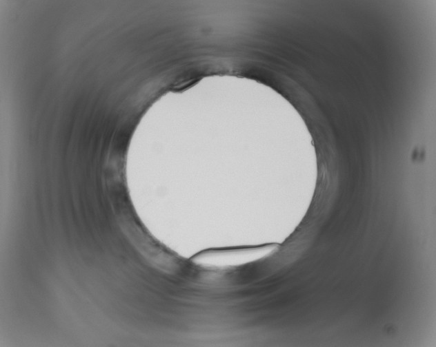 X0000113210096200910221112