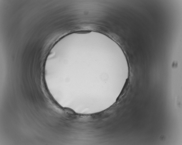 X0000113210097200910221111