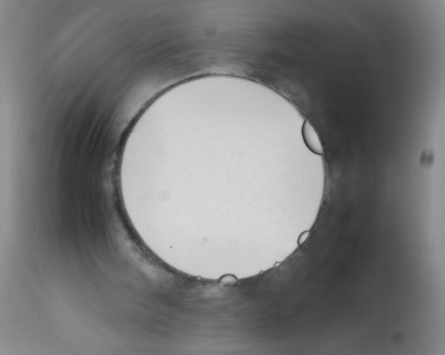 X0000113210098200910221111