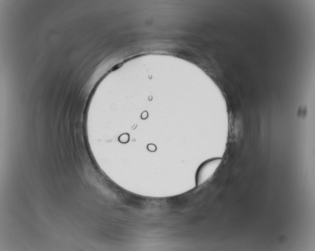 X0000113210099200910221111