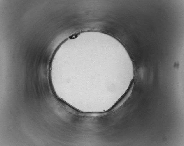 X0000113210100200910221111