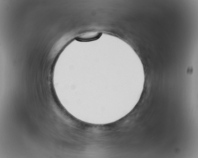 X0000113210103200910221111