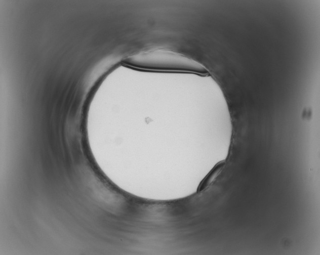 X0000113210104200910221111