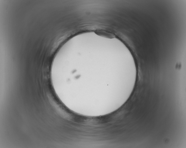 X0000113210105200910221111