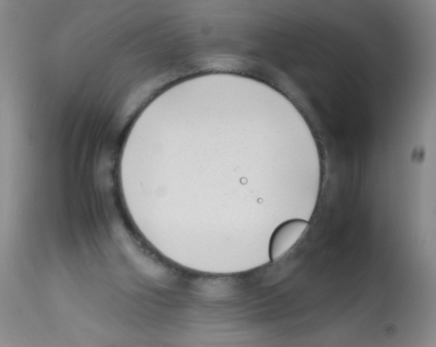 X0000113210106200910221111