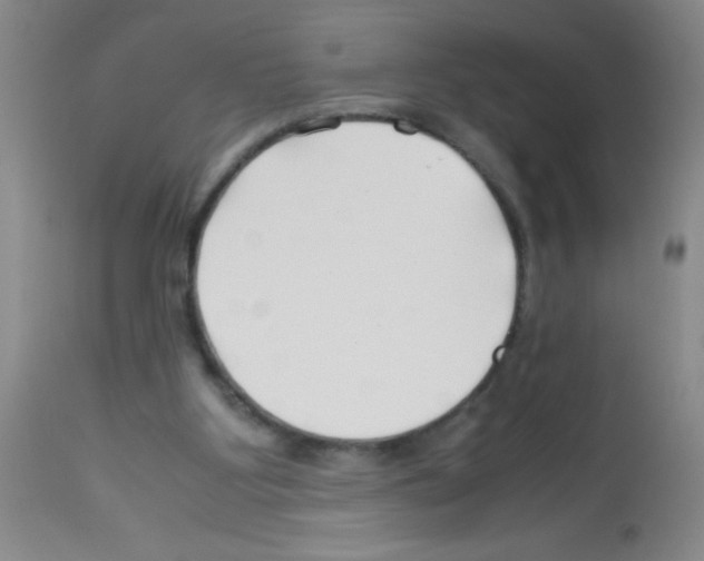 X0000113210107200910221111