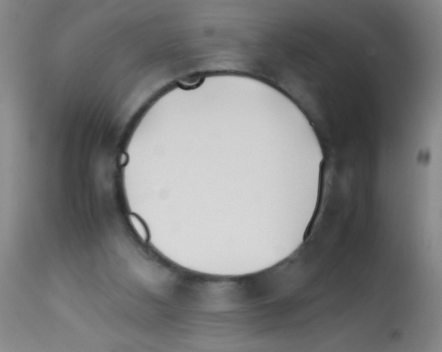 X0000113210108200910221111