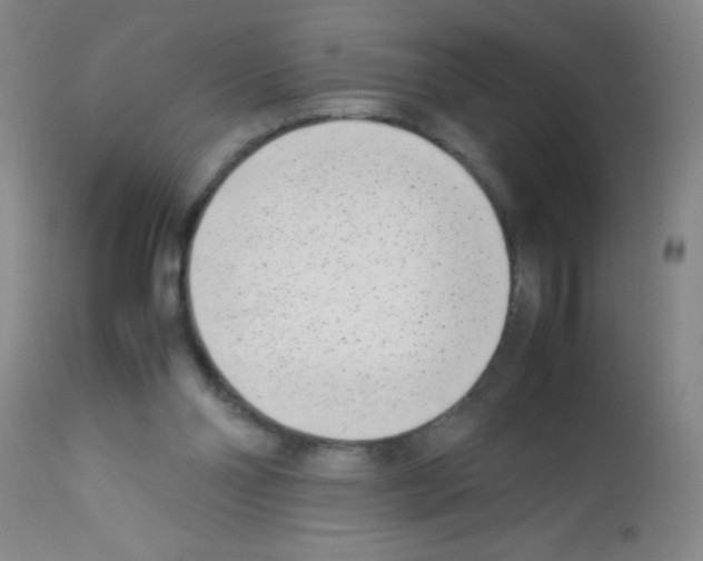 X0000113210110200910221111