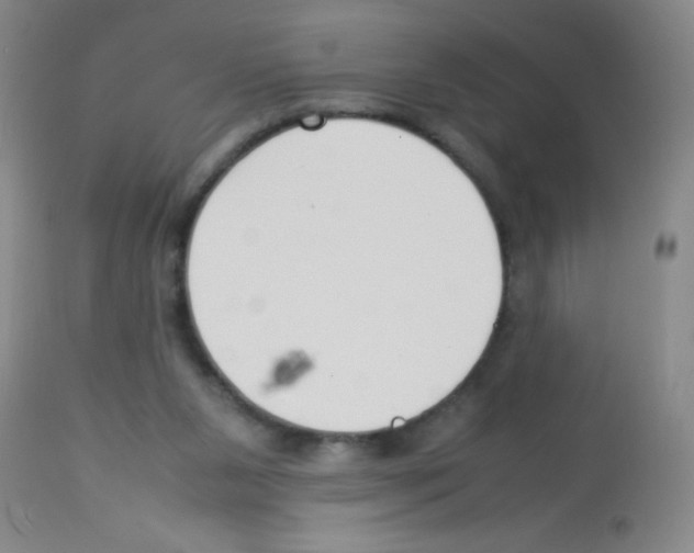 X0000113210111200910221111