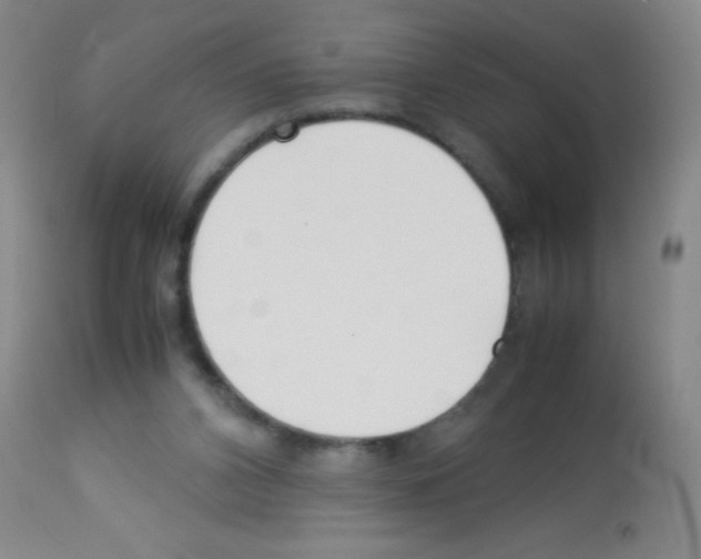 X0000113210112200910221111