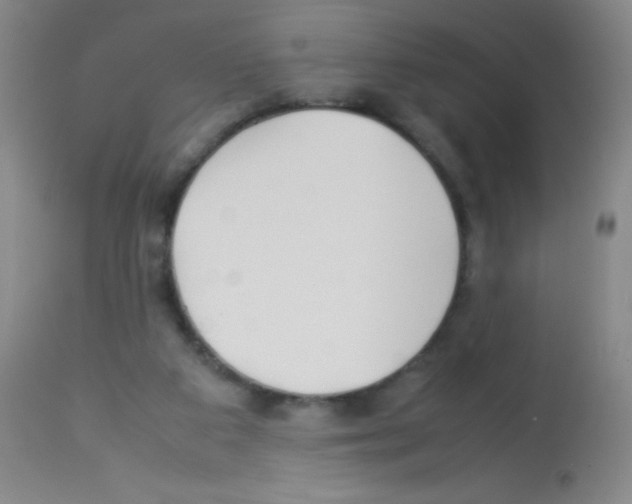 X0000113210113200910221111