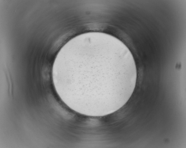 X0000113210114200910221111