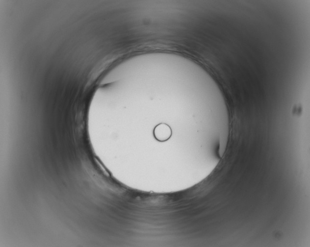 X0000113210116200910221111