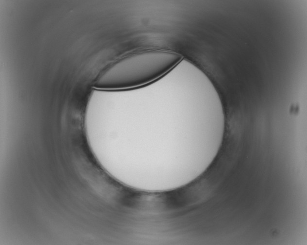 X0000113210117200910221111