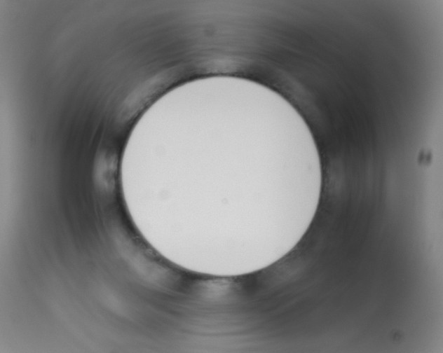 X0000113210118200910221111