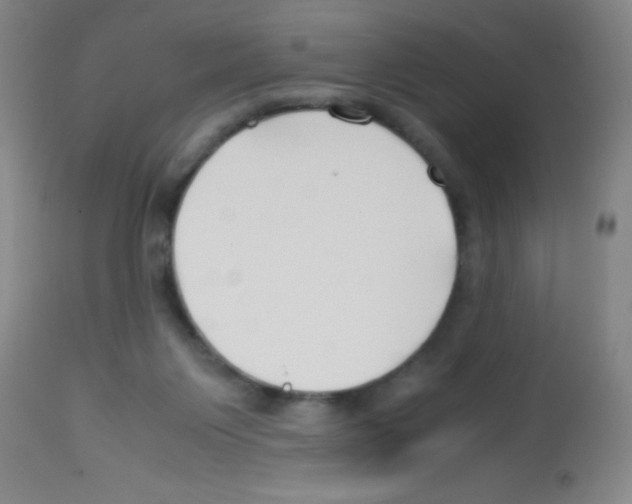 X0000113210119200910221111