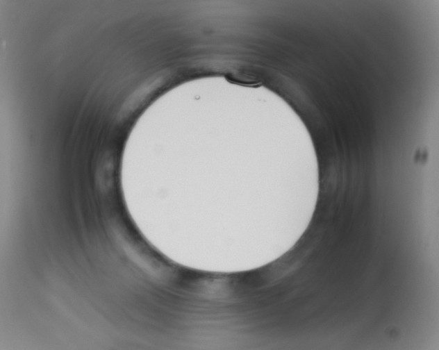 X0000113210120200910221111