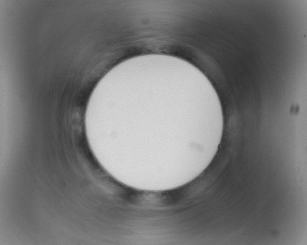 X0000113210121200910221111