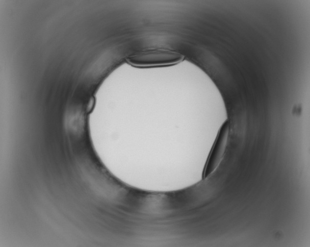 X0000113210124200910221111