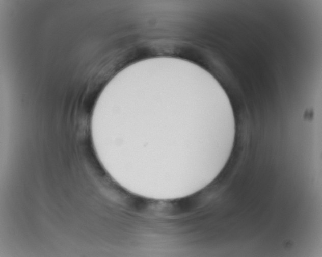 X0000113210125200910221111