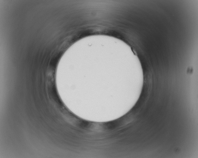 X0000113210127200910221111