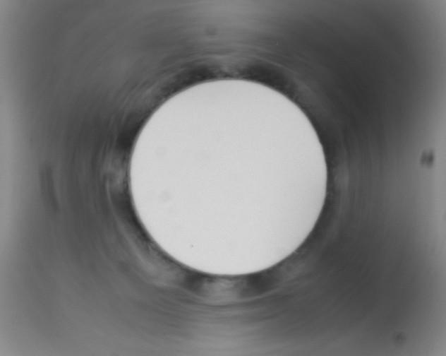 X0000113210129200910221111