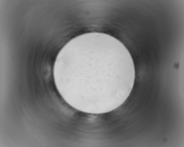 X0000113210130200910221111