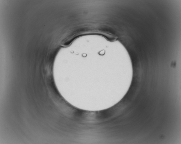 X0000113210131200910221111