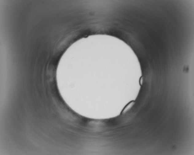 X0000113210133200910221111