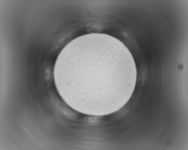 X0000113210134200910221111