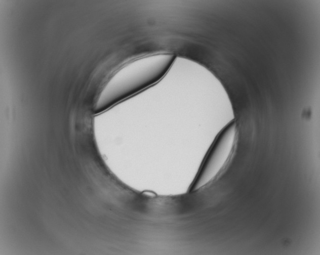 X0000113210137200910221111