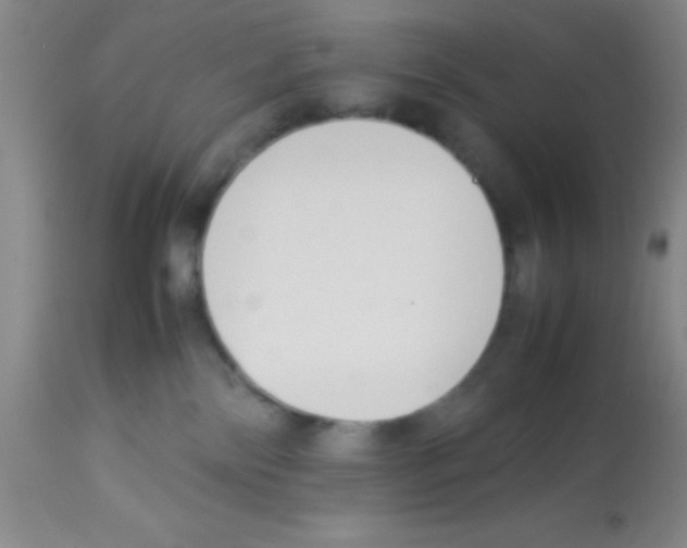 X0000113210138200910221111