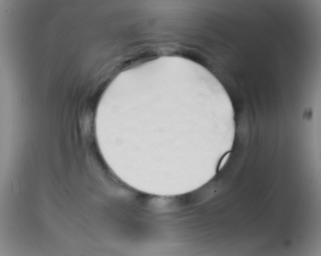 X0000113210139200910221111