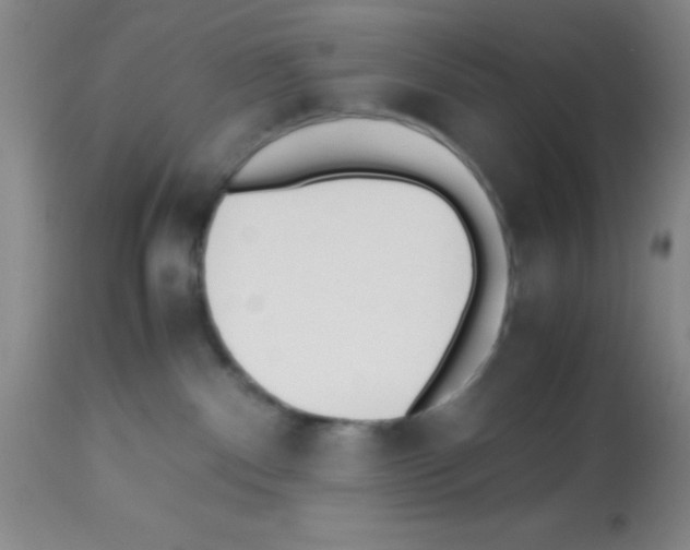 X0000113210140200910221111