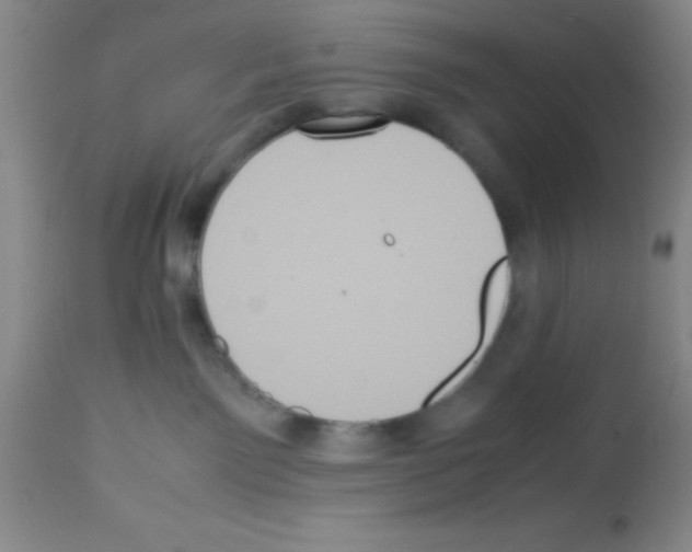 X0000113210141200910221111