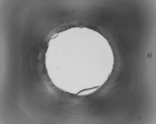 X0000113210144200910221111