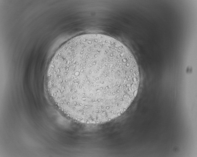 X0000113210145200910221110