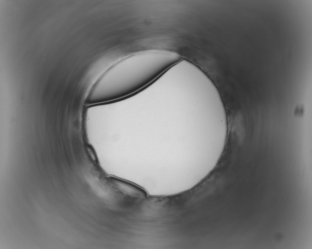 X0000113210148200910221110