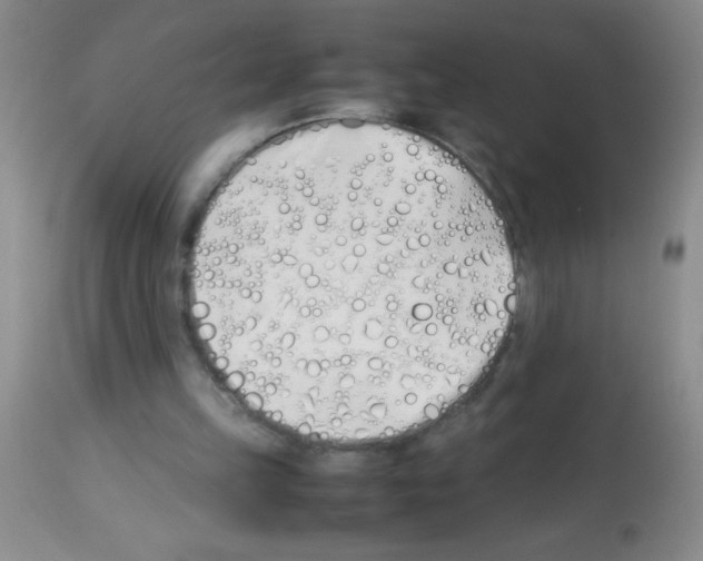 X0000113210149200910221110