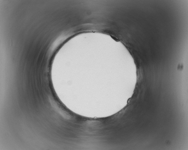 X0000113210150200910221110