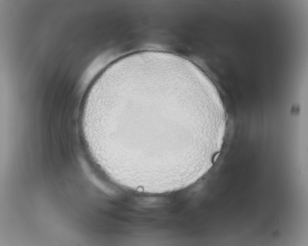 X0000113210151200910221110