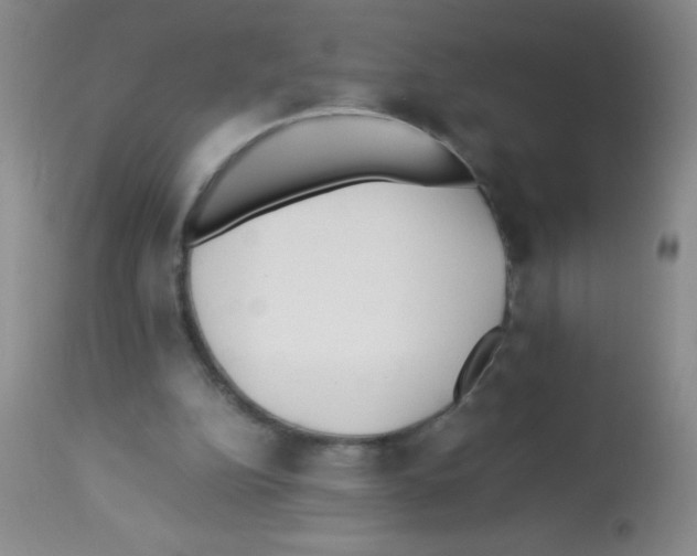 X0000113210152200910221110